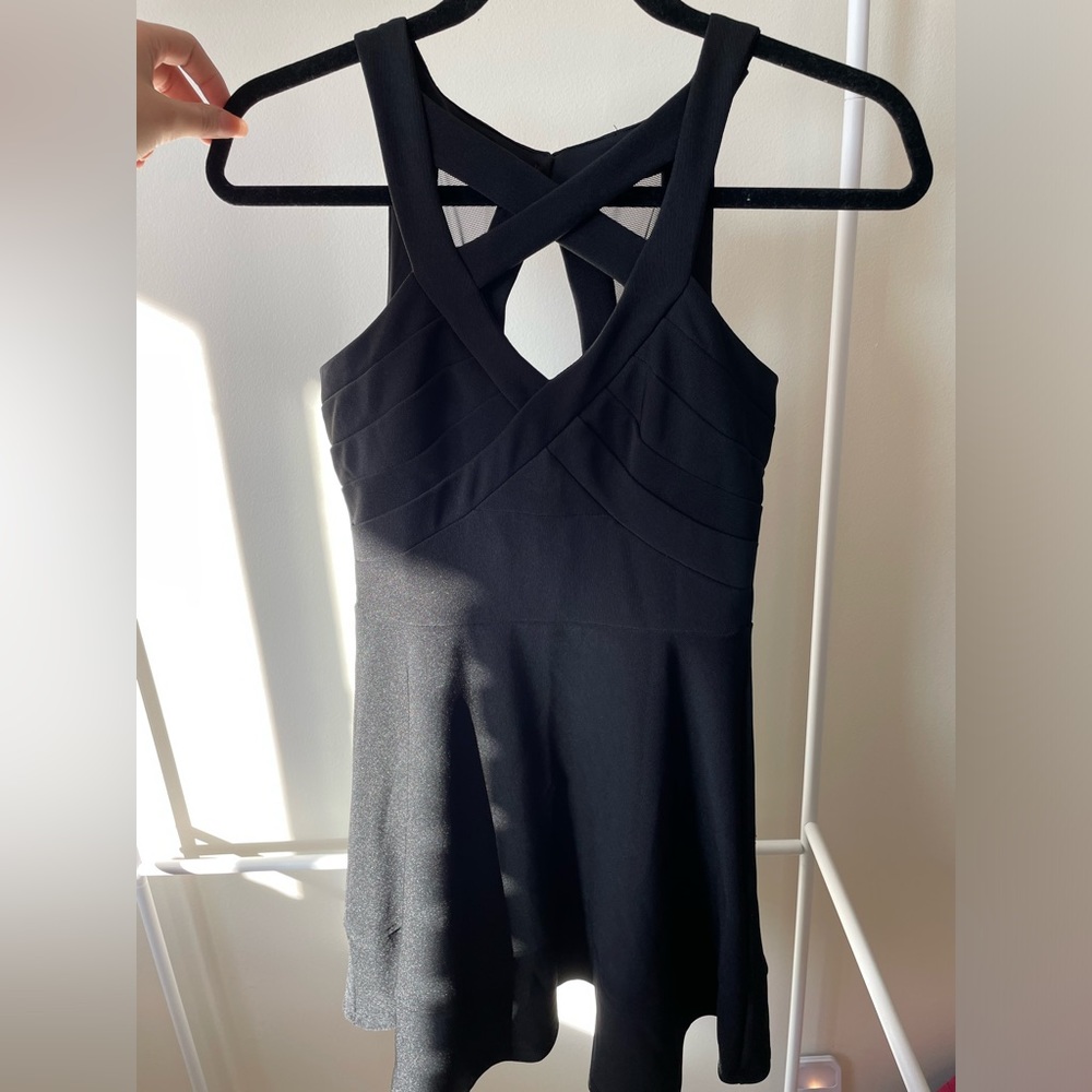 Le chateau black skater dress